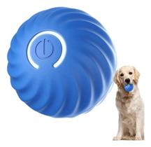 Bolinha Interativa Gato Pet Cachorro Usb Recarregável - Home Goods