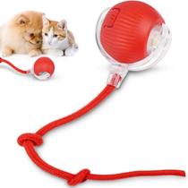 Bolinha Interativa Usb Para Gato E Cachorro - Pet Automática Bolinha Interativa Usb Para Gato E Cachorro - Pet Automática