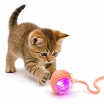 Bolinha Mágica Interativa Recarregável USB Para Gatos E Cachorros Com Luz LED Bolinha Mágica Interativa Recarregável USB Para Gatos E Cachorros Com Luz LED
