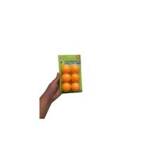 Bolinha Tenis De Mesa Para Ping Pong 6 bolinhas - Cor Laranja