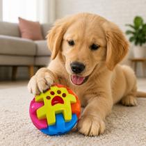 Bolinha Top Secret Petiscos Interativa Colorida 10cm Pets Multicolorido Bolinha Top Secret Petiscos Interativa Colorida 10cm Pets Multicolorido