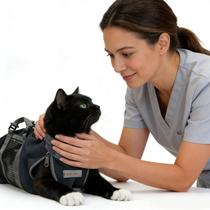 Bolsa de contenção para tosa de gato Cinf, antirrisco, preta, tamanho P