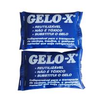 Bolsa de Gelo x Flexível Reutilizável Kit C/2 P Termogel