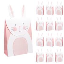 Bolsa de presente Cheerland Easter Bunny Some Bunny is One - 12 unidades