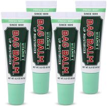 Bolsa de protetor labial, pacote com 4 unidades, 8,5 g de vitamina E de hortelã fresca