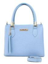 Bolsa lorena ombro tendência