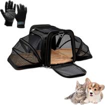 Bolsa Pet Expansivel Transporte Viagem Preto + Par De Luvas