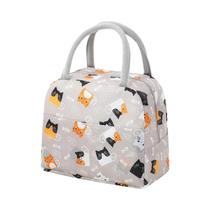 Bolsa Térmica De Lanche Em Lona Isolada, Cooler Portátil Para Mulheres E Crianças, Caixa De Almoço