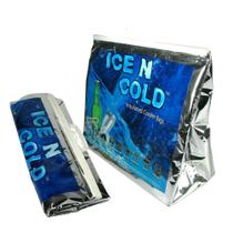 Bolsa térmica isolada ICE N COLD Grande capacidade de 16 kg