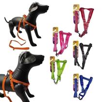 Bom Amigo Peitoral Refletiva Noite - M