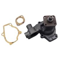 Bomba Agua Chevette 81 Com Polia Eletro Indisa 258004