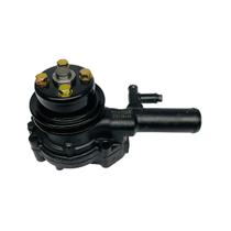 Bomba Água Motor BFDE 380 - 27cv - 3000 Buffalo Original