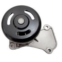 Bomba Água Renault Kwid 2017 a 2023 - 974845 - 702521