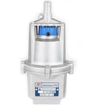 Bomba Agua Submersa Anauger 900 254V