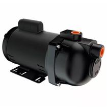 Bomba Auto Aspirante PRATIKA AP_3C 2.0 CV 127/220 VOLTS DANCOR