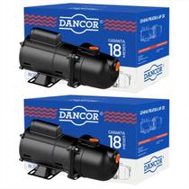 Bomba Auto Aspirante Pratika Dancor Ap-2r 1/2cv Bivolt