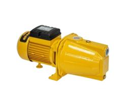 Bomba Buffalo Autoaspirante BFA65FE Monofásico 127 220v