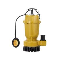 Bomba Buffalo Submersivel BFB 2 1,5cv Monofásico Com Boia 220v