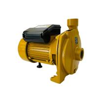 Bomba Centrífuga Buffalo BFC170 1,5cv 1,10W Mono 2 Polos