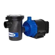 Bomba Centrífuga Com Pré-Filtro Syllent PF42E0308AS1 1CV Monofásica 120V