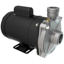 Bomba Centrífuga Dancor Cam-W10 2 Cv Trifásica 220v/380v