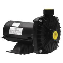 Bomba Centrifuga Dancor CP6R 1 cv (127/220 v.) bivolt Bomba Centrifuga Dancor CP6R 1 cv (127/220 v.) bivolt