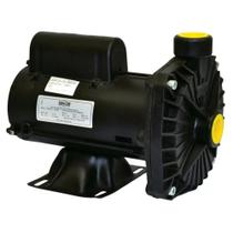 Bomba Centrífuga Dancor CP6R 1 CV Bivolt Alta Vazão Azul