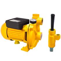 Bomba Centrífuga Injetora Ferrari BI-05 1/2 CV Externa 324132