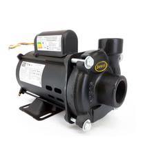 Bomba Centrífuga Jacuzzi 7NDS 3/4 CV Monofásica 127/220V Bomba Centrífuga Jacuzzi 7NDS 3/4 CV Monofásica 127/220V
