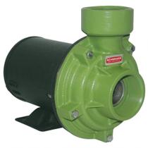 Bomba Centrífuga Monoestágio 1,5cv Bc-92s R 2 .1/2 127/220v