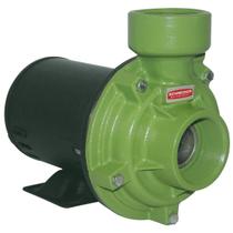 Bomba Centrífuga Monoestágio Schneider 1,5CV BC-92S R 2 .1/2 127/220V Monofásico