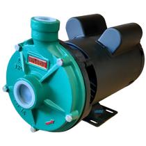 Bomba Centrífuga Monofásica Thebe Th-16nr 3cv Ip23 127/220v
