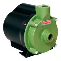 Bomba Centrifuga Residencial Schneider Bcr-2000 1/2cv 220v Bomba Centrifuga Residencial Schneider Bcr-2000 1/2cv 220v