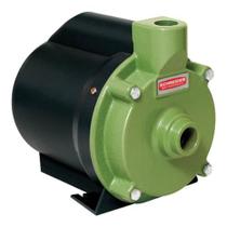 Bomba centrífuga schneider bcr-2000 1/4 cv 220v monofásica Bomba centrífuga schneider bcr-2000 1/4 cv 220v monofásica