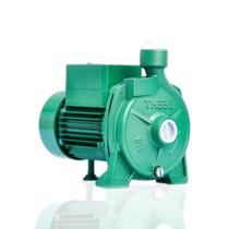 Bomba Centrífuga Solar Thebe B13 Ci 950w 114v Pressão Max. 36MCA Vazão Max. 8.300 Litros por hora