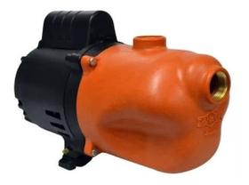 Bomba D Agua Auto Aspirante Dancor Ultra Da-2 1/2cv 220v