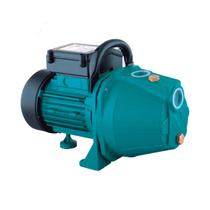 Bomba D'agua Autoaspirante Lepono Xkj-1100l 45 Metros 1,5cv 110v