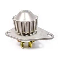 Bomba D'Agua BDPG13 C3 Berlingo 206 207 Partner 1.4 03/ Hoggar 09/ 18 Dentes