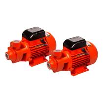 Bomba D'água Periférica 1 Cv 750w Bivolt 2 Unidades Foxlux