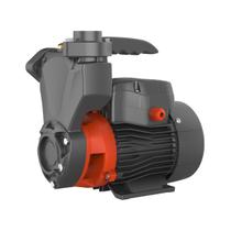 Bomba d'água Periférica Autoaspirante APSM37 0,5HP - Lepono
