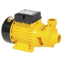 Bomba D Água Periférica BPV750 1CV 110/220V com Chave Seleto