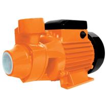Bomba D'água Periférica Intech BP1000 Bivolt