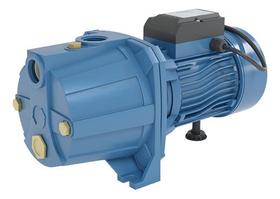 Bomba Dágua Autoaspirante Motobomba Água Claw 1.5cv 1100w Wm