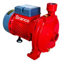 Bomba Dagua Centrifuga Branco 1,0cv Bivolt Rotor Em Latão