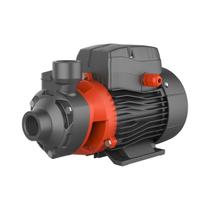 Bomba dágua Periférica APM37 0,5HP - Lepono Bomba dágua Periférica APM37 0,5HP - Lepono