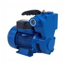 Bomba Dágua Periférica Autoaspirante 1/2Cv 127V Wmpa37H Bomba Dágua Periférica Autoaspirante 1/2Cv 127V Wmpa37H