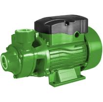 Bomba DÁgua Periférica Bivolt Rowa PR60 0,5HP Bomba DÁgua Periférica Bivolt Rowa PR60 0,5HP