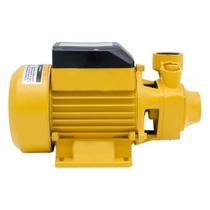 Bomba Dágua Periférica Ferrari Acquapump Ba-50, 1Cv - Bivolt