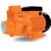 Bomba DÁgua Periférica Intech 1/2cv 220v BP500 - Intech machine Bomba DÁgua Periférica Intech 1/2cv 220v BP500 - Intech machine