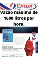 Bomba Dágua Sapo Submersa Fenix 750 340W